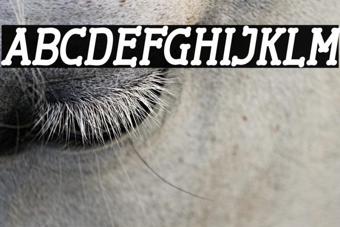 Cherrytha Two Italic Example 1