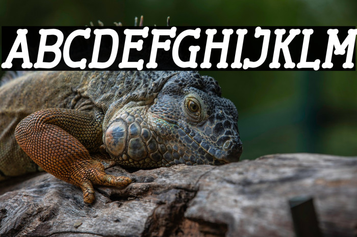 Cherrytha Two Italic Example 2