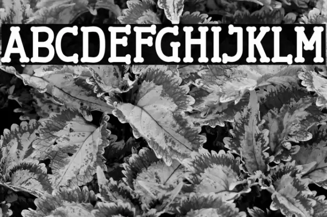 Cherrytha Two Font examples