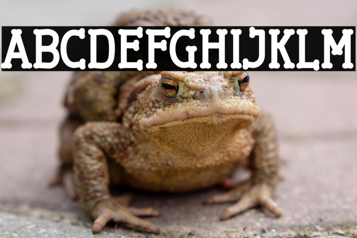 Cherrytha Two Example 3