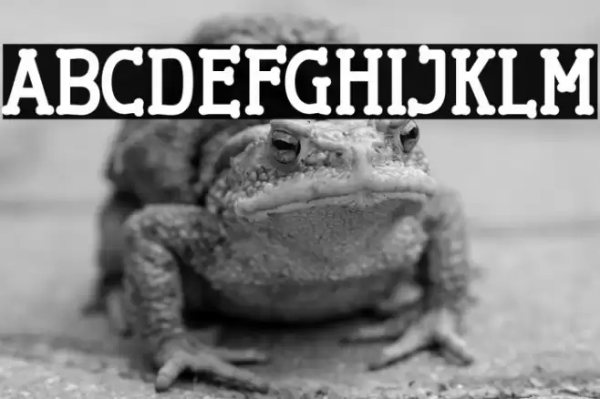 Cherrytha Two Font examples