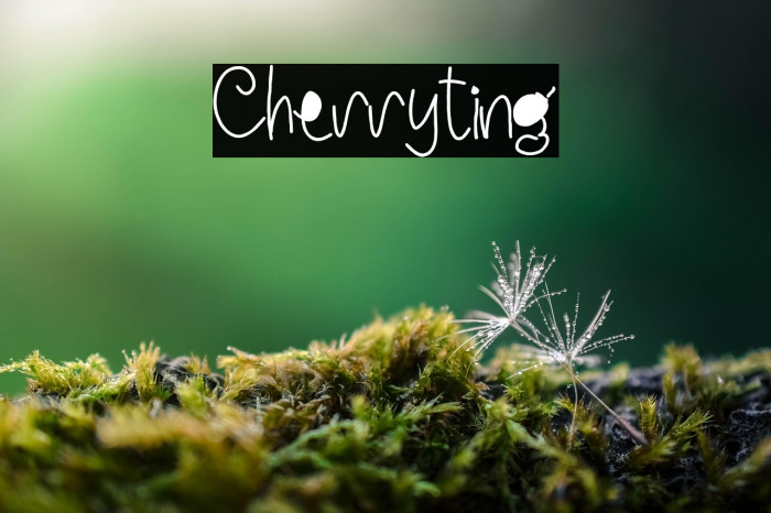 Cherryting Example 1