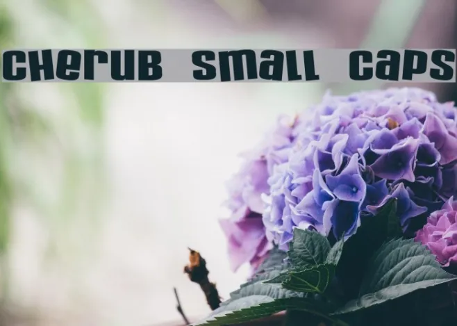 Cherub Small Caps Example 1