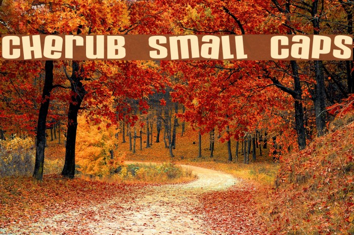 Cherub Small Caps Font examples
