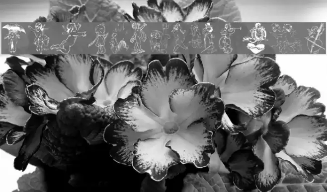 Cherub Font examples