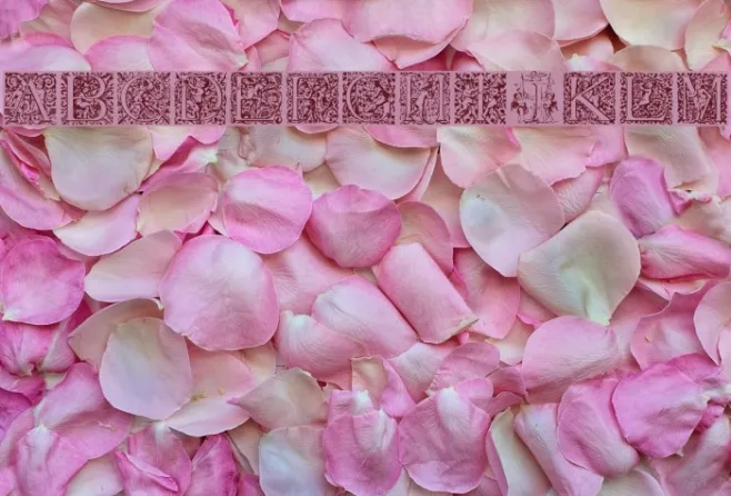 CherubicInitials Example 2
