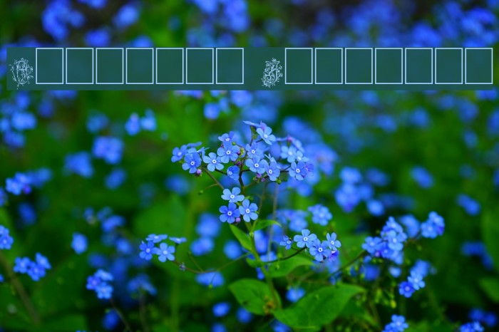 Cherubim Initials Example 1