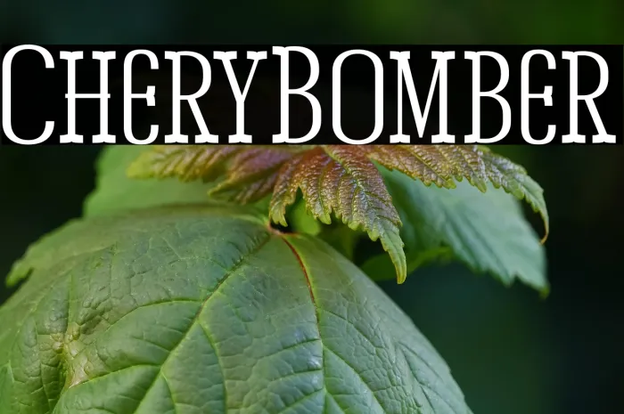 Chery Bomber Example 2