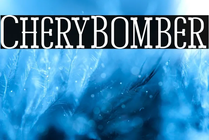 Chery Bomber Example 3