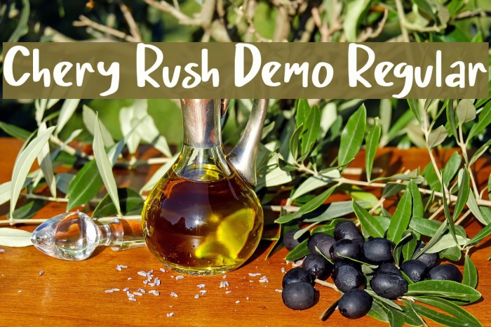 Chery Rush Demo Regular Font examples