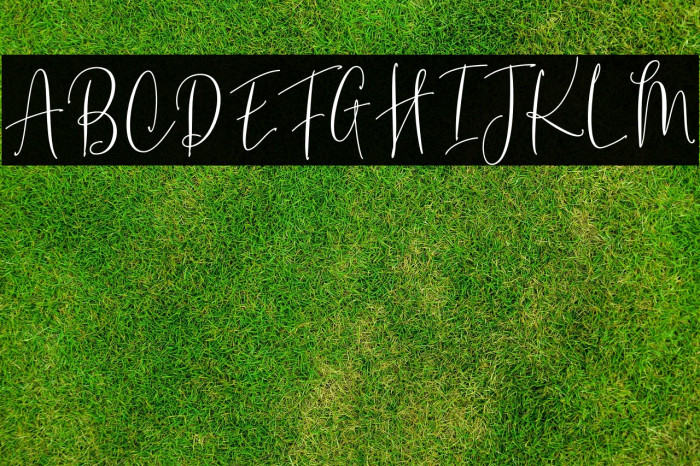 CherySantos-Regular Example 2