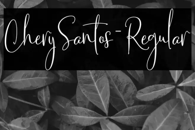 CherySantos-Regular Font examples