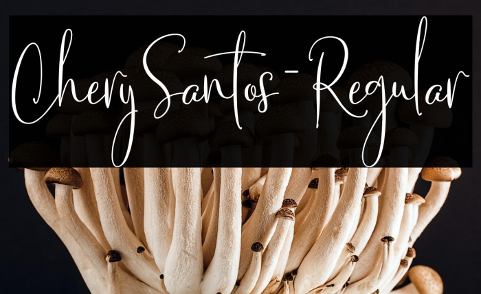 CherySantos-Regular Example 3