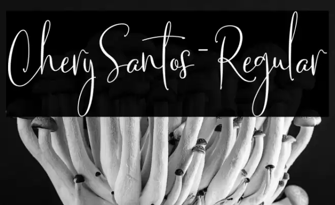 CherySantos-Regular Font examples