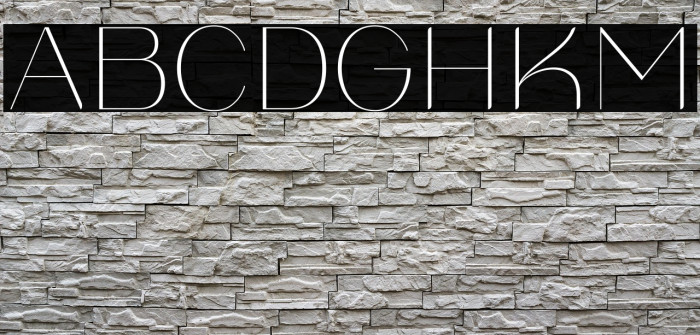 Chesalova Regular Example 2