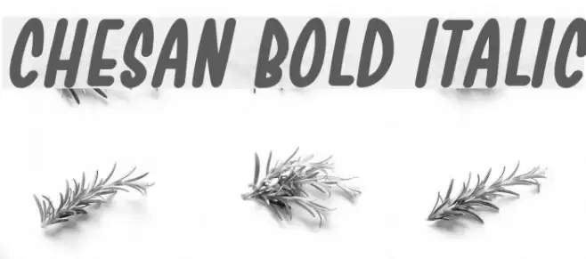 Chesan Bold Italic Font examples
