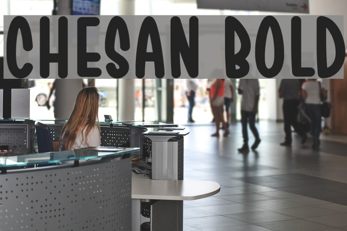 Chesan Bold Font examples