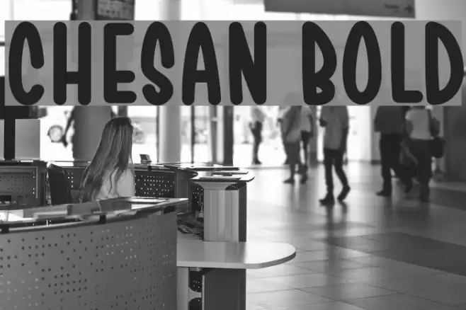 Chesan Bold Font examples