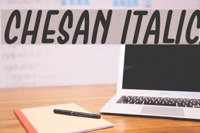 Chesan Italic Font examples
