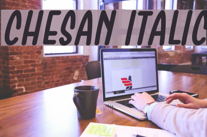 Chesan Italic Font examples