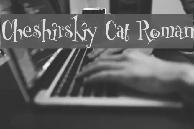 Cheshirskiy Cat Roman Font examples
