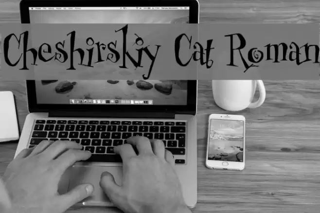 Cheshirskiy Cat Roman Font examples