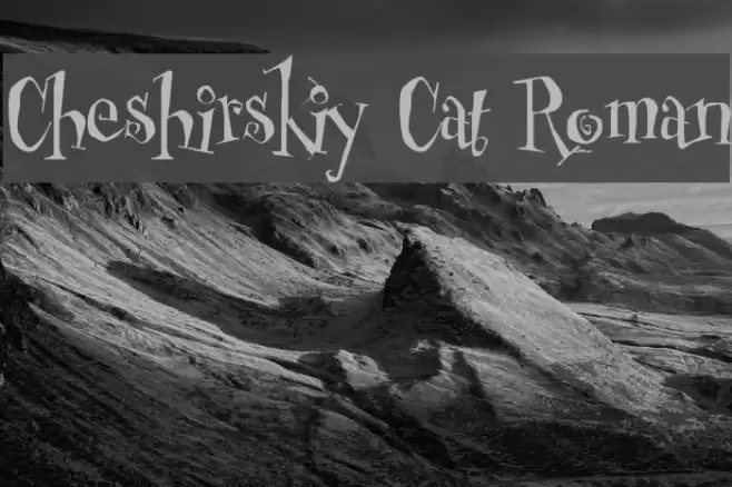 Cheshirskiy Cat Roman Font examples