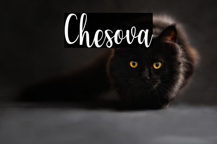 Chesova Example 1