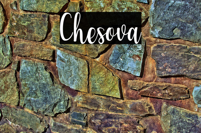Chesova Example 3