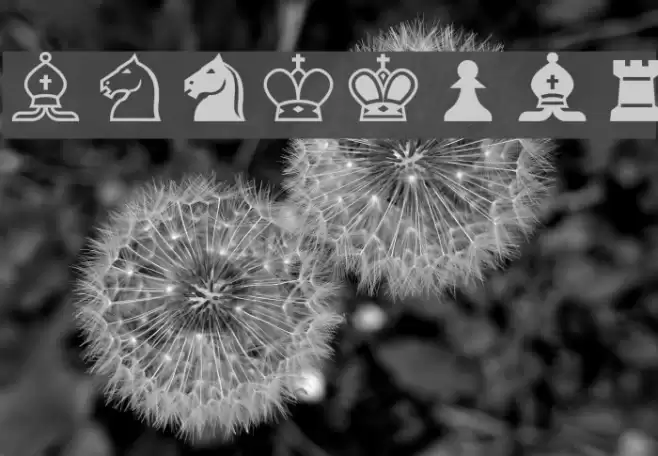 Chess-Alpha Font examples