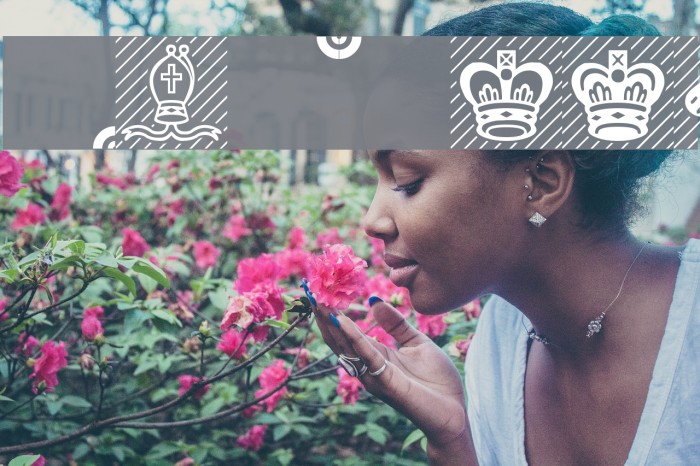 Chess-Leipzig Example 1