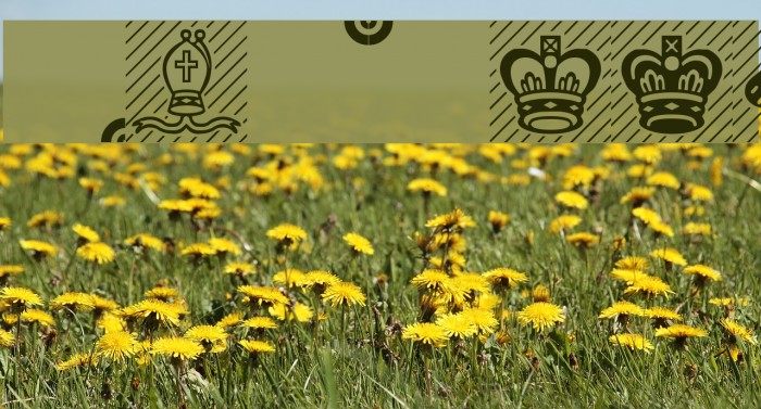 Chess-Leipzig Example 2