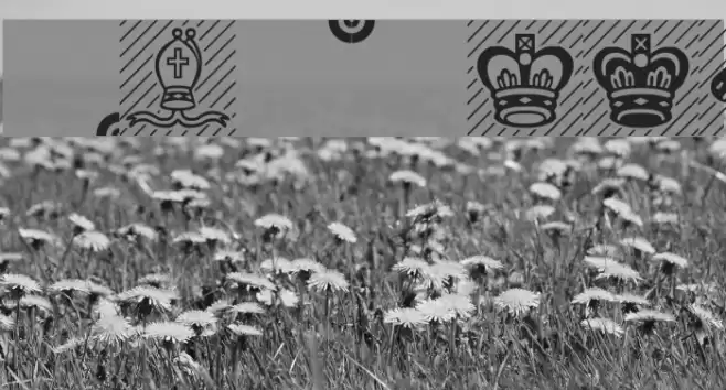 Chess-Leipzig Font examples