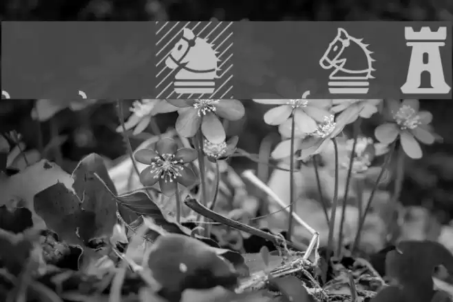 Chess-Magnetic Font examples