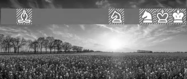 Chess Regular Font examples