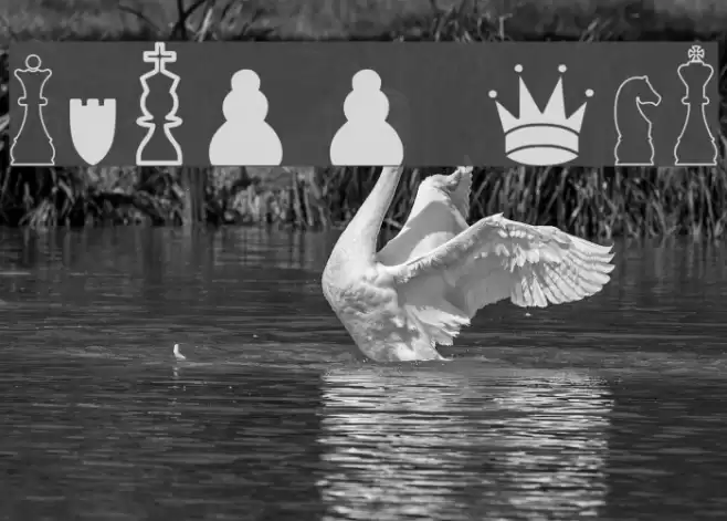 Chess TFB Font examples