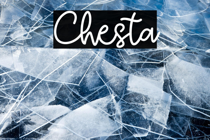Chesta Example 1