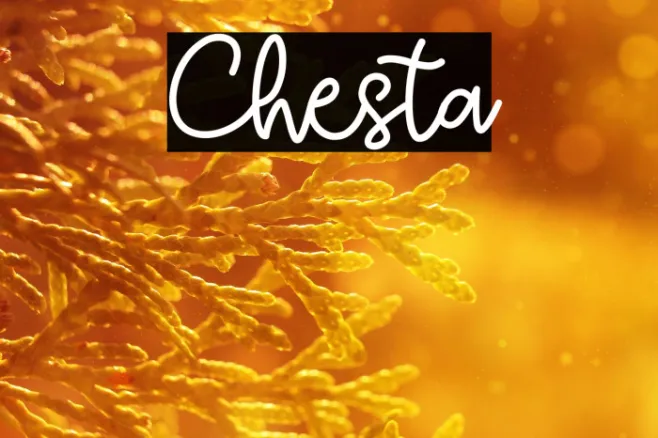 Chesta Example 2