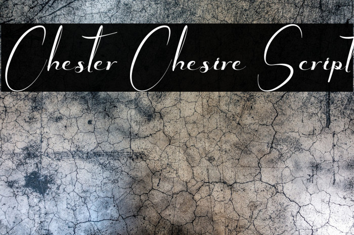 Chester Chesire Script Example 1