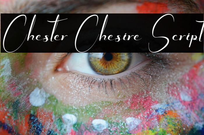 Chester Chesire Script Example 2