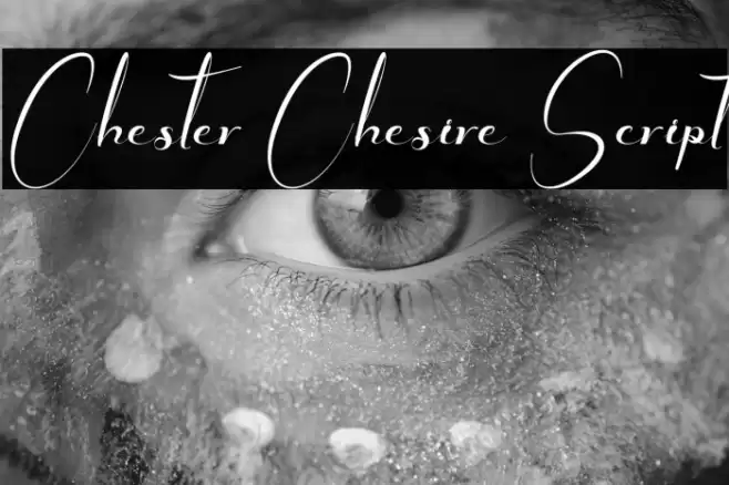 Chester Chesire Script Fonte examples