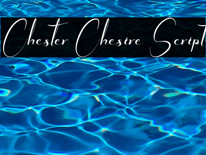 Chester Chesire Script Example 3
