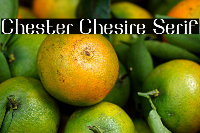 Chester Chesire Serif Example 1