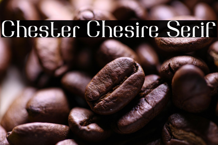 Chester Chesire Serif Example 3