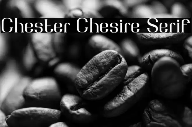 Chester Chesire Serif 字体 examples