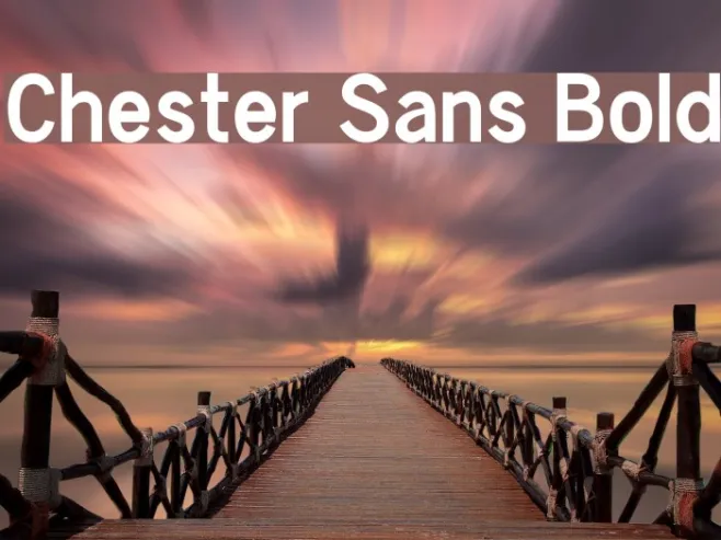 Chester Sans Bold Example 1