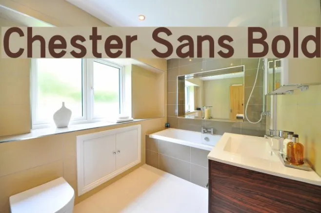 Chester Sans Bold Example 2
