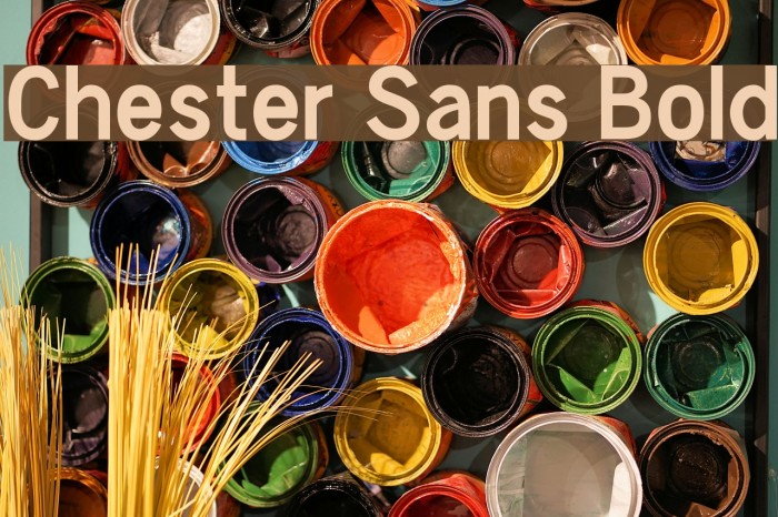 Chester Sans Bold Font examples
