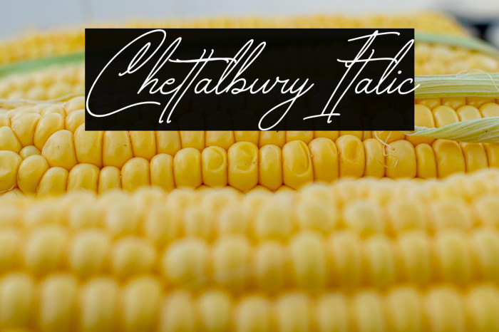 Chettalbury Italic Example 3