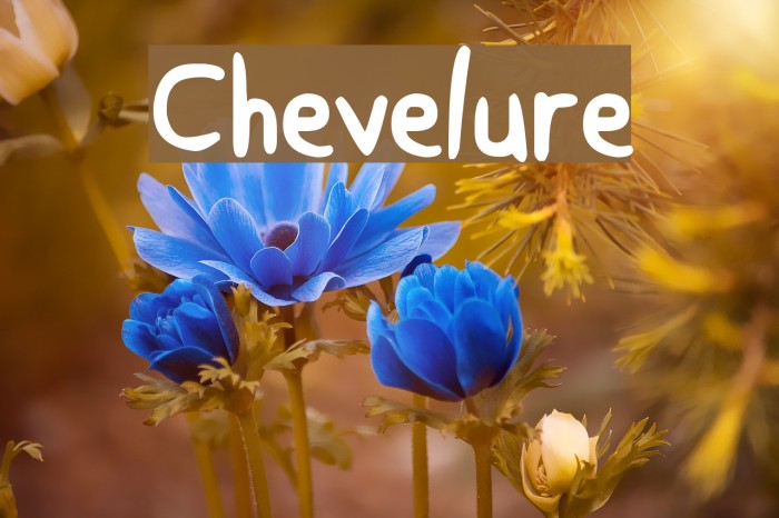 Chevelure Font examples